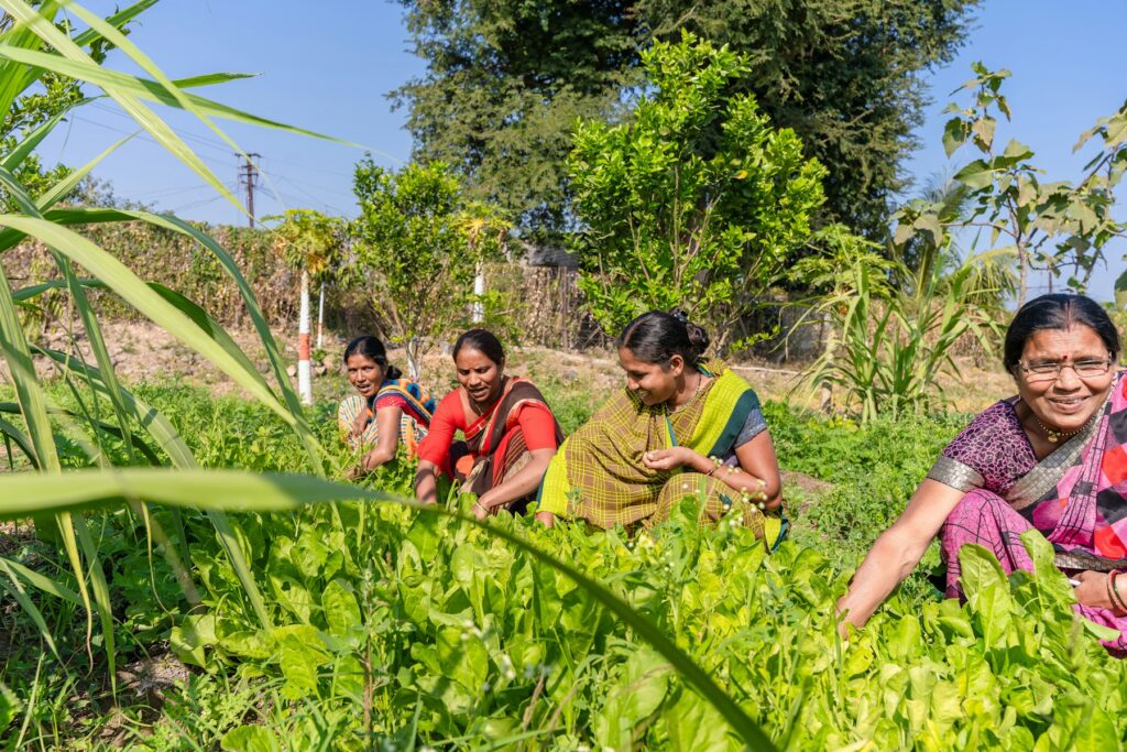 Women working together in a field in India